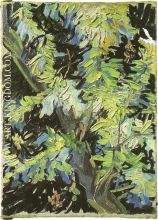 Branches d acacia fleuries 1890