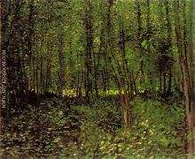 Trees and Undergrowth