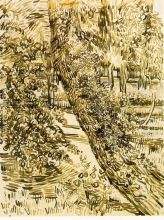 Trees ivy asylum