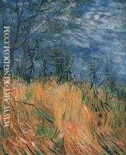 Edge of a Wheatfield with Poppies