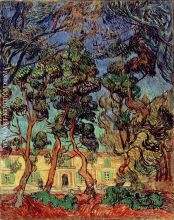 Trees in the Garden of Saint Paul Hospital 2
