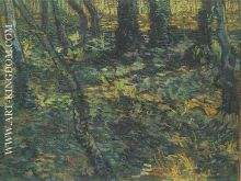 Lierre en sous bois 1889