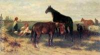 On pasture
