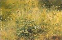 Herbage etude 