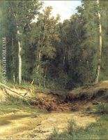 Woodland brook 1