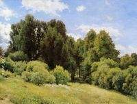 Forest glade