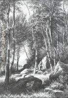 On edge of birch grove Valaam