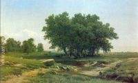 Oak Trees