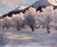 Hiver Haute Savoie Suisse