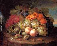 Still Life with Fruit and Bird s Nest