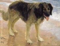 Man s best friend