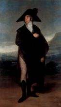 Portrait of Count Fernand N nez VII