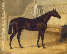 Charles The 12th St Leger Winner 1839