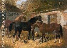 In the Barnyard