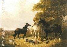 The Farmyard 