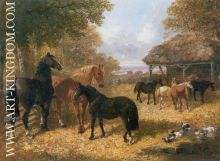 Barnyard Scene