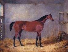 The Duke Of Grafton s Bolivar In A Stable