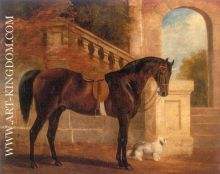 Adonia A Dark Bay Hunter and a White Terrier Before a Terrace 1884