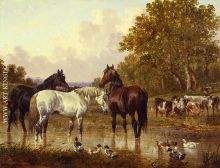 At the Watering Spot