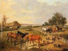 Country Life