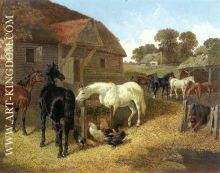 Farm Animals Horses and Chickens in Farmyard