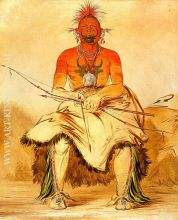 Buffalo Bull A Grand Pawnee Warrior