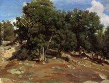 Fontainebleau  Black Oaks of Bas Breau