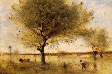 Pond with a Large Tree