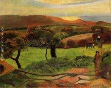 Breton Landscape Fields by the Sea