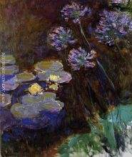Water Lilies and Agapanthus