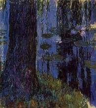 Weeping Willow and Water Lily Pond 1