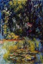 The Water Lily Pond 8