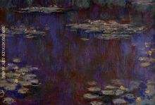 Water Lilies 27