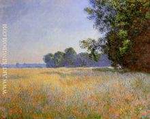 Oat and Poppy Field