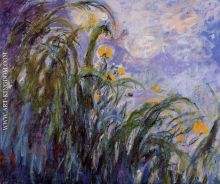 Yellow Irises 2