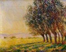 Willows at Sunset