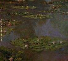 Water Lilies 5