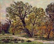Autumn, Fontainebleau Forest