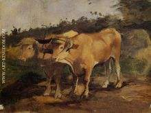 Two Bulls Wearing a Yoke